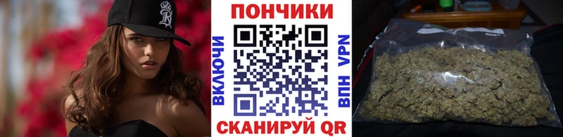 Купить закладки  Севск  Канабис AK-47 